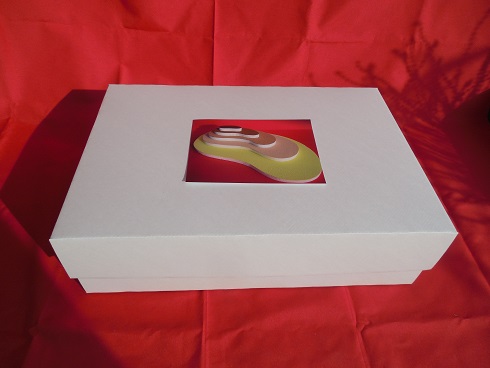 3. Demonstrationsmodell 1 Karton geschlossen