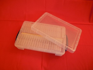 Plastikkiste mit Deckel 1 Plastikkiste mit Deckel 1